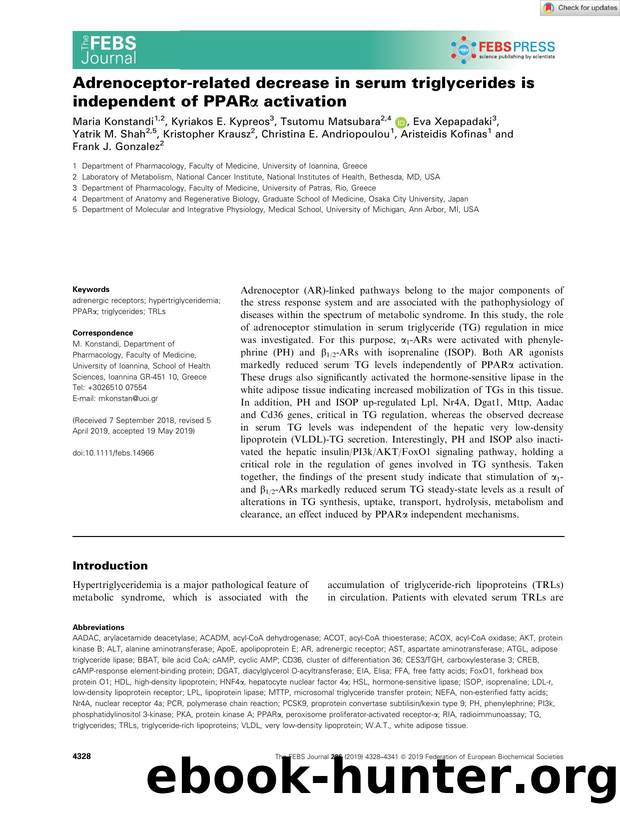 Adrenoceptorârelated decrease in serum triglycerides is independent of PPARÎ± activation by Unknown
