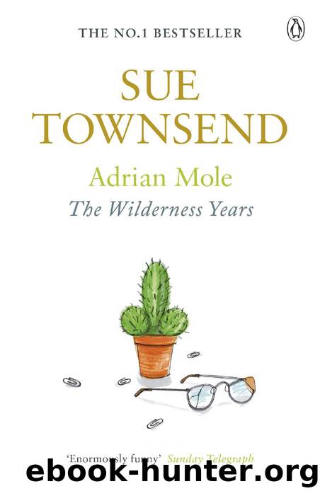 Adrian Mole: The Wilderness Years: The Wilderness Years by Sue Townsend