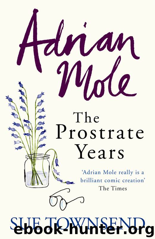 Adrian Mole: the Prostrate Years by Sue Townsend