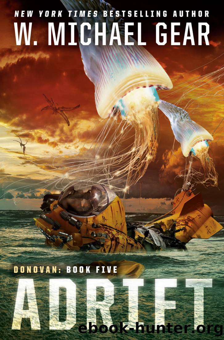 Adrift by W. Michael Gear