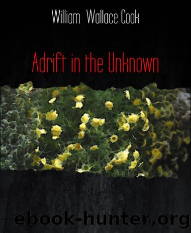 Adrift in the Unknown by William Wallace Cook