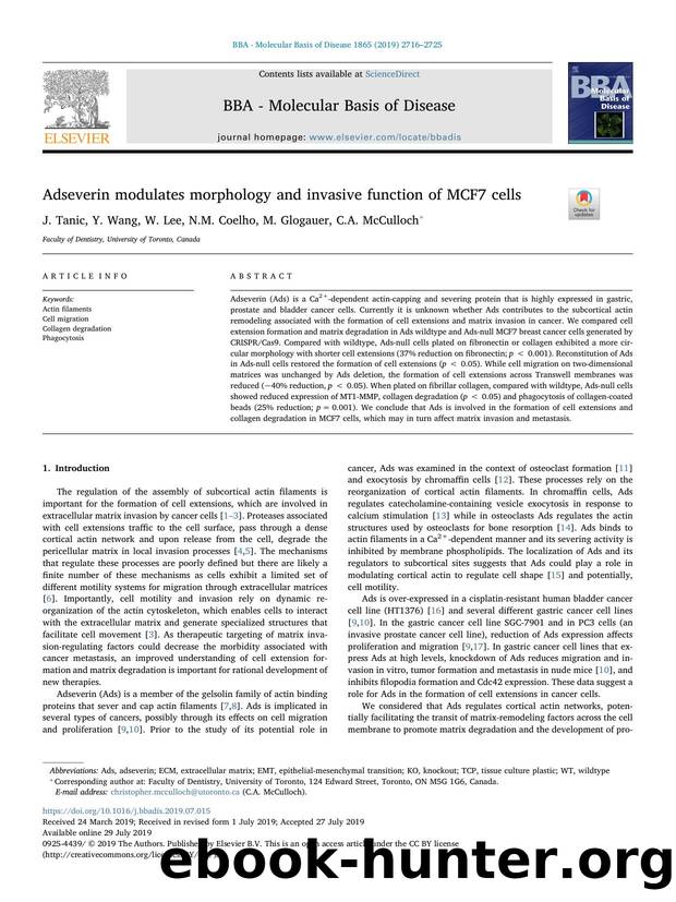 Adseverin modulates morphology and invasive function of MCF7 cells by J. Tanic & Y. Wang & W. Lee & N.M. Coelho & M. Glogauer & C.A. McCulloch