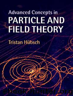 Advanced Concepts in Particle and Field Theory by Hübsch Tristan