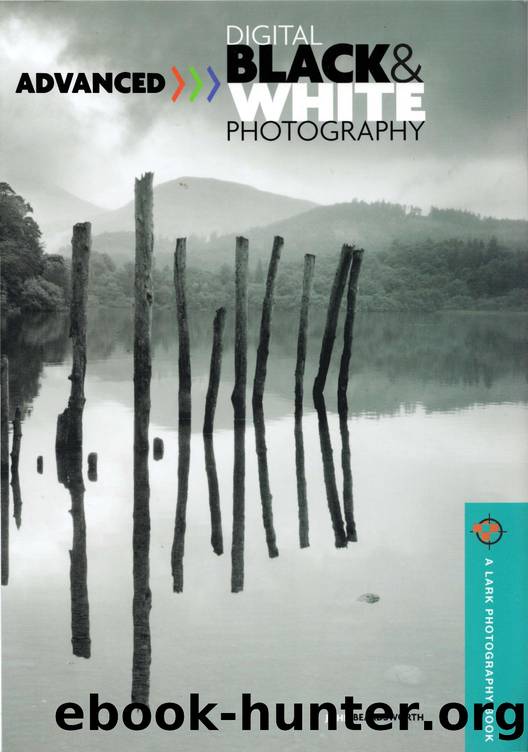Advanced Digital Black & White Photography (A Lark Photography Book) by Unknown