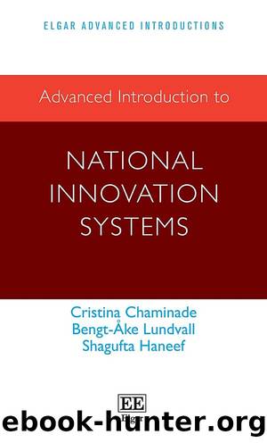 Advanced Introduction to National Innovation Systems by Cristina Chaminade & Bengt-Åke Lundvall & Shagufta Haneef