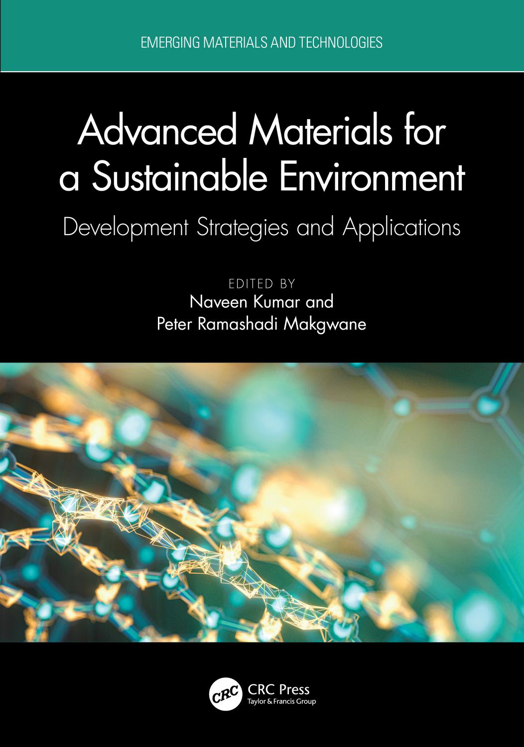 Advanced Materials for a Sustainable Environment: Development Strategies and Applications by Naveen Kumar Peter Ramashadi Makgwane
