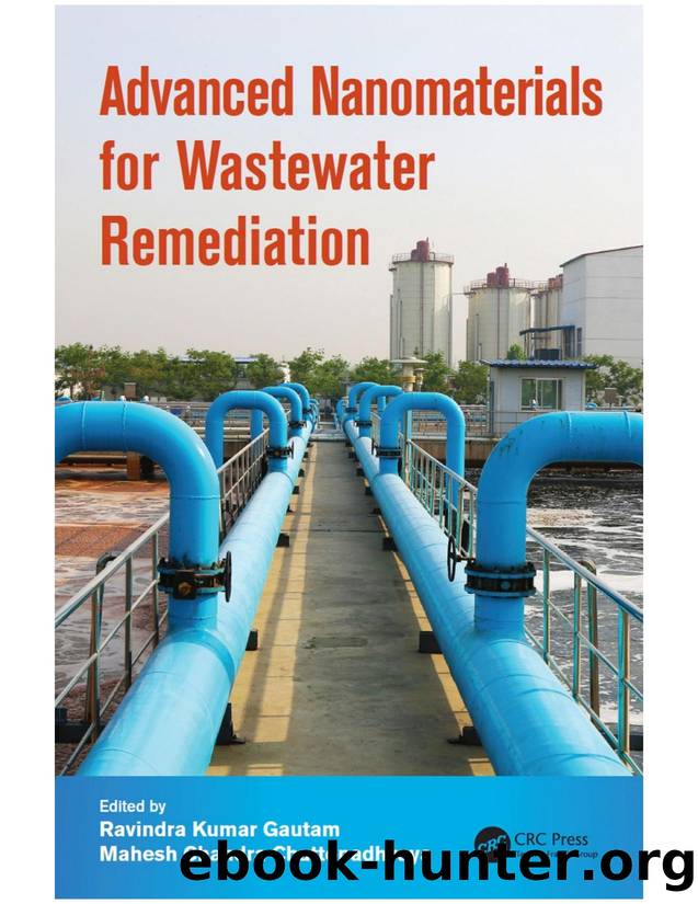 Advanced Nanomaterials for Wastewater Remediation by Gautam Ravindra Kumar; Chattopadhyaya Mahesh Chandra;
