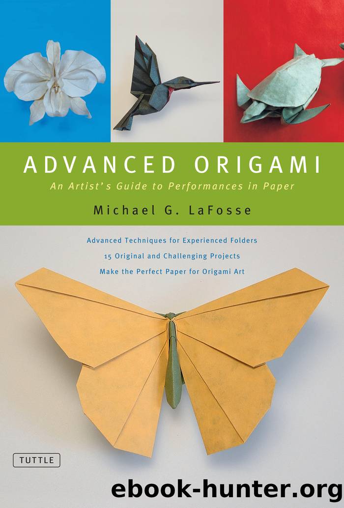 Advanced Origami by Michael G. Lafosse