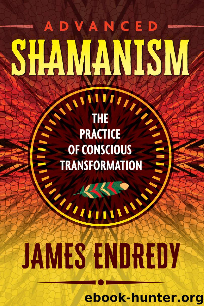 Advanced Shamanism by James Endredy