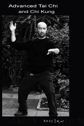 Advanced Tai Chi and Chi Kung by Kevin Dwyer
