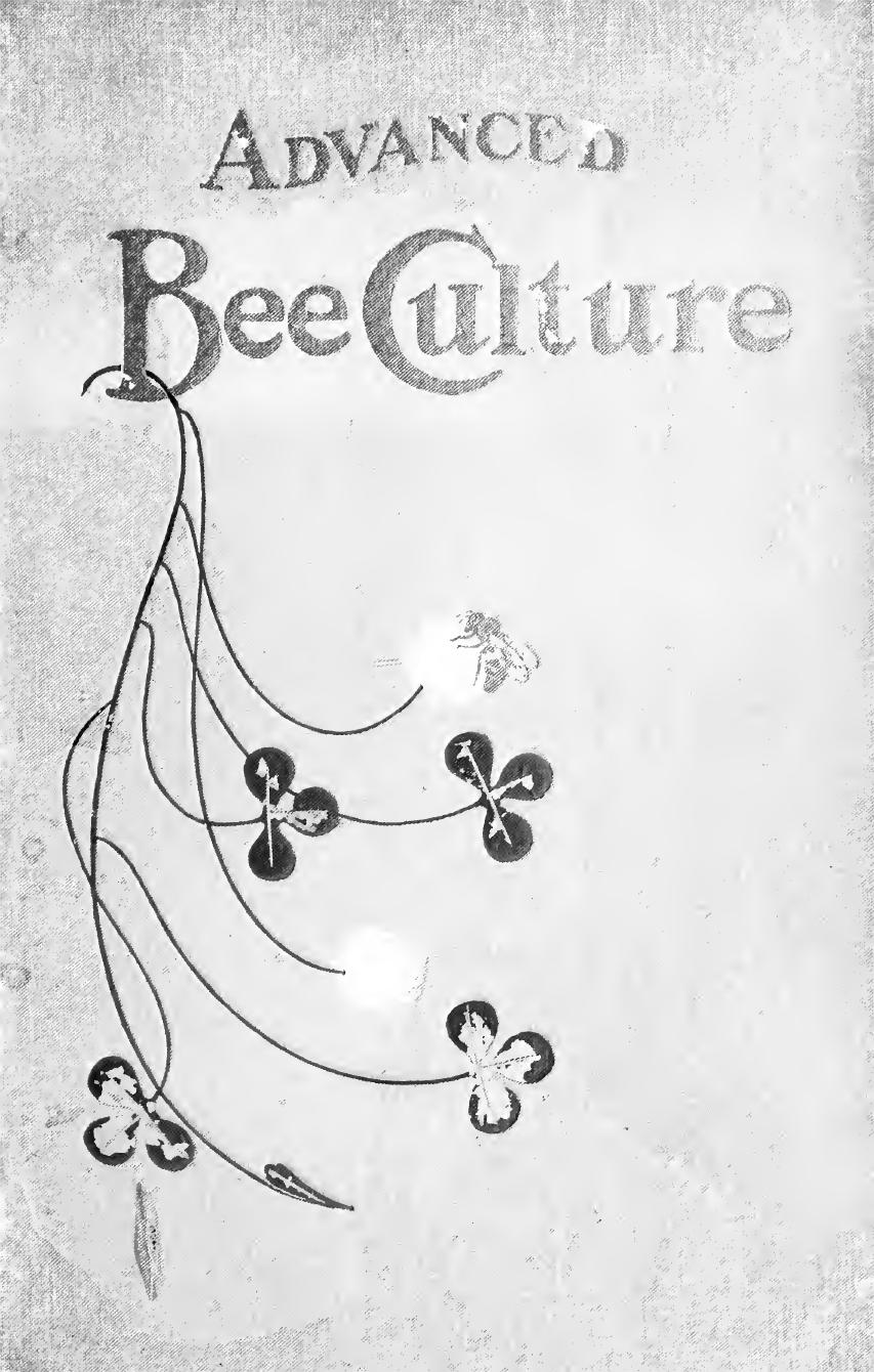 Advanced bee-culture, its methods and management by Hutchinson William Z. 1851-1911