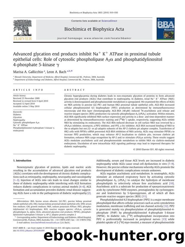 Advanced glycation end products inhibit Na+ K+ ATPase in proximal tubule epithelial cells: Role of cytosolic phospholipase A2Î± and phosphatidylinositol 4-phosphate 5-kinase Î³ by Marisa A. Gallicchio; Leon A. Bach