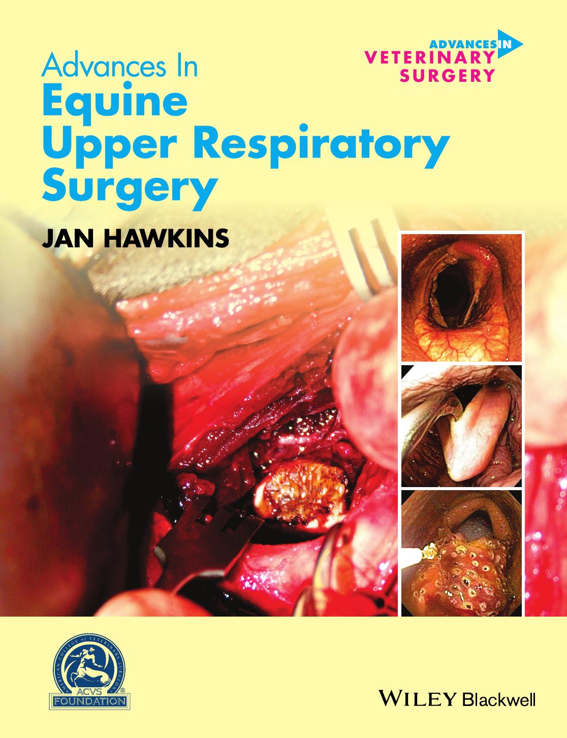 Advances in Equine Upper Respiratory Surgery by Jan Hawkins