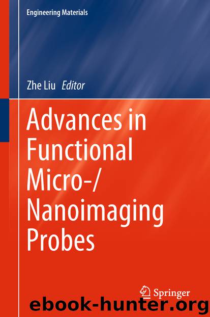 Advances in Functional Micro-Nanoimaging Probes by Zhe Liu