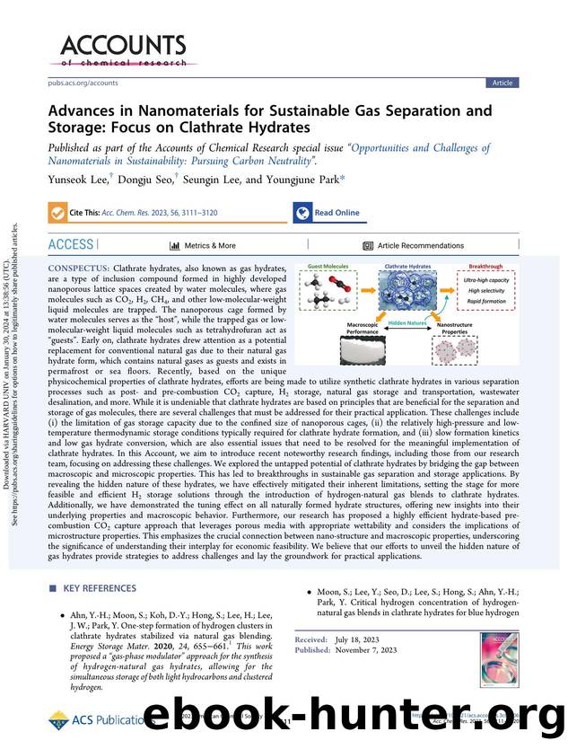 Advances in Nanomaterials for Sustainable Gas Separation and Storage: Focus on Clathrate Hydrates by Yunseok Lee Dongju Seo Seungin Lee & Youngjune Park