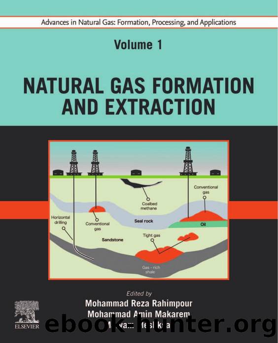 Advances in Natural Gas: Formation, Processing, and Applications, Volume 1: Natural Gas Formation and Extraction by Rahimpour Mohammad Reza (Editor) & Makarem Mohammad Amin (Editor) & Meshksar Maryam (Editor)