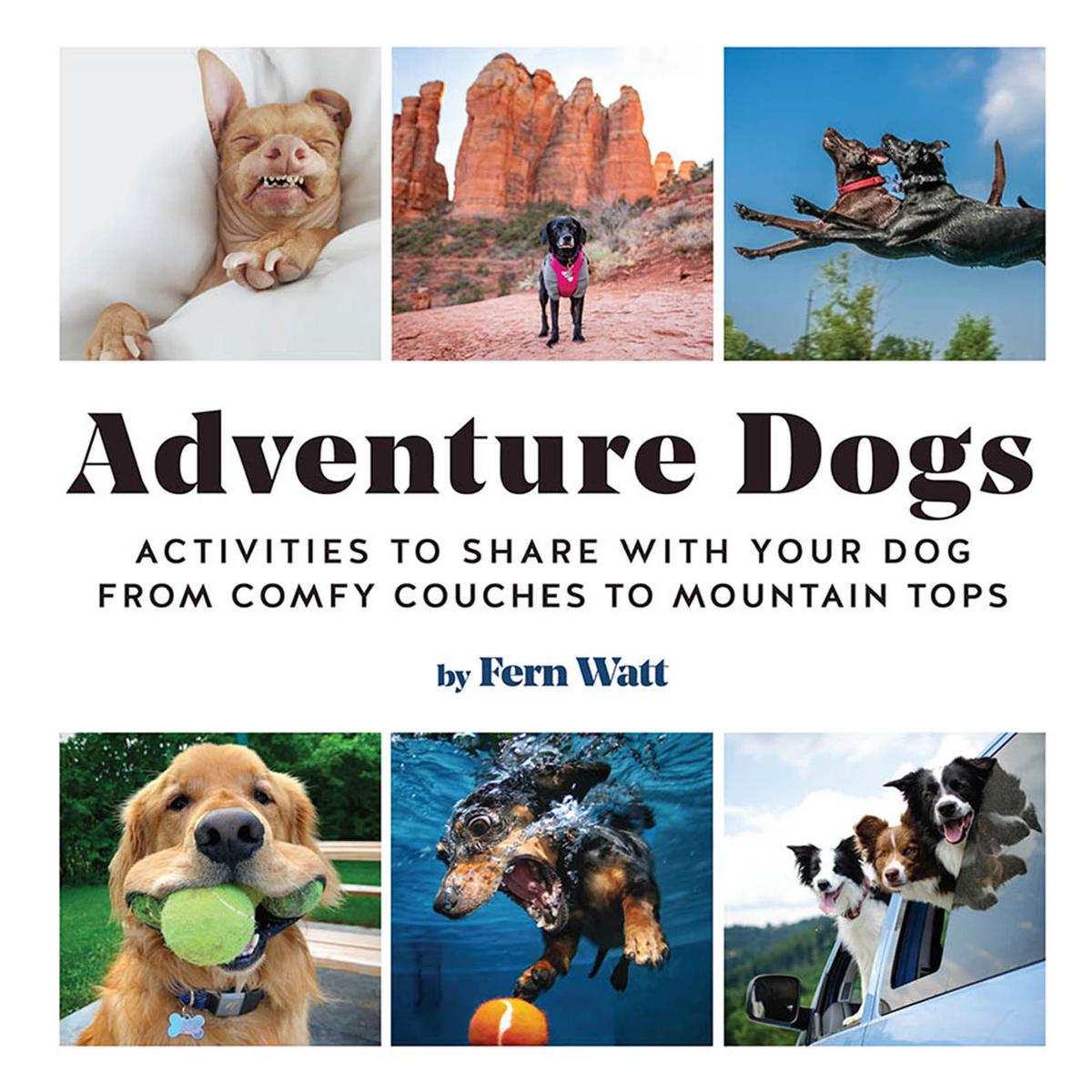Adventure Dogs by Fern Watt