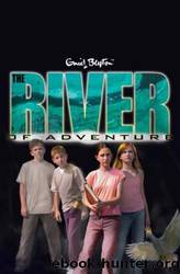 Adventure Series - 08 - The River of Adventure by Enid Blyton