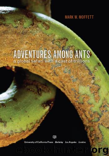 Adventures among Ants by Mark W. Moffett