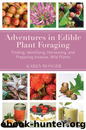 Adventures in Edible Plant Foraging by Karen Monger