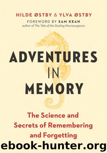 Adventures in Memory: The Science and Secrets of Remembering and Forgetting by Hilde Østby & Ylva Østby