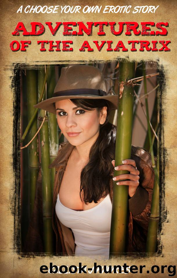 Adventures of the Aviatrix: A Choose Your Own Erotic Story by Hawkes Callista