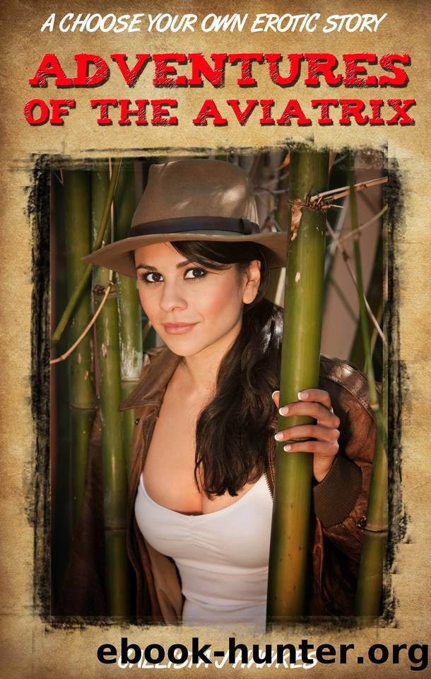Adventures of the Aviatrix_A Choose Your Own Erotic Story by Callista J. Hawkes