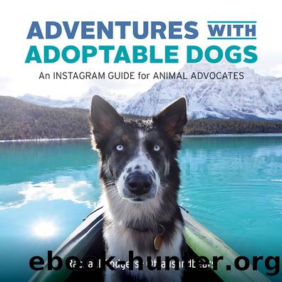 Adventures with Adoptable Dogs by Rodgers Rachael;