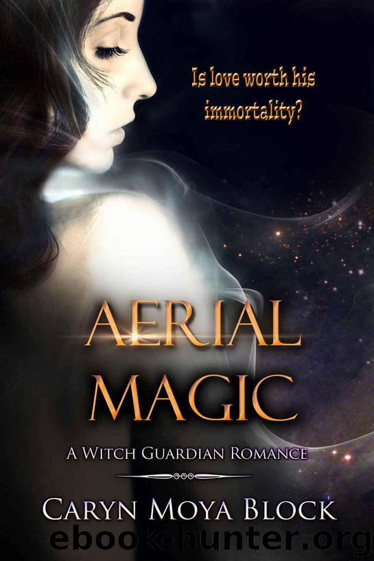 Aerial Magic (Witch Guardian Romance Book 2) by Caryn Moya Block