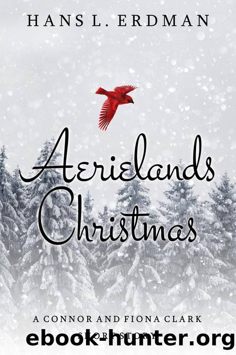 Aerielands Christmas by Hans L. Erdman