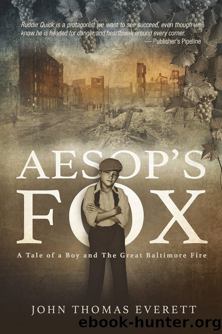 Aesopâs Fox: The Tale of a Boy and the Great Baltimore Fire by John Thomas Everett