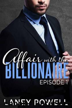 Affair With The Billionaire: Episode One by Laney Powell