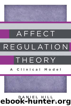 Affect Regulation Theory: A Clinical Model (Norton Series on Interpersonal Neurobiology) by Daniel Hill