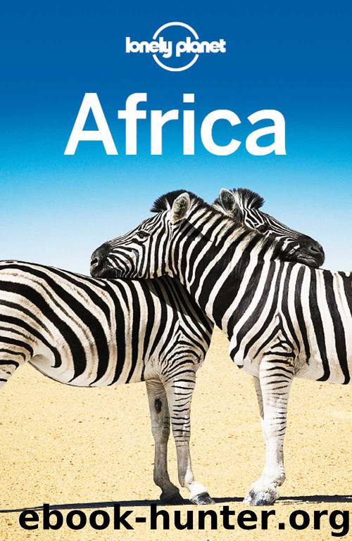 Africa Travel Guide by Lonely Planet