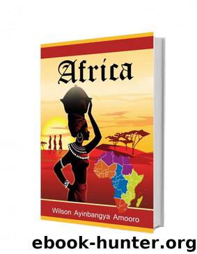 Africa by Wilson Ayinbangya Amooro