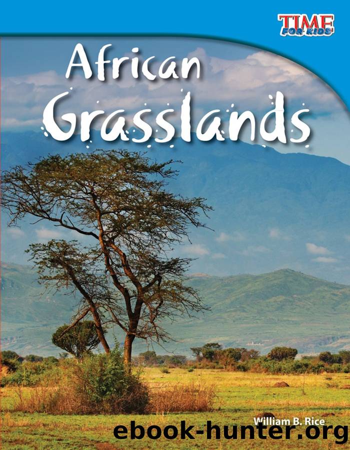 African Grasslands by William B. Rice