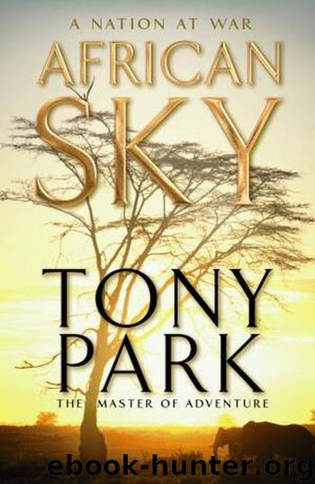 African Sky by Tony Park