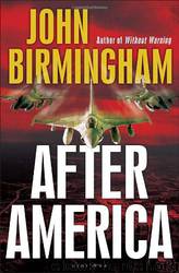 After America (2010) by Birmingham John