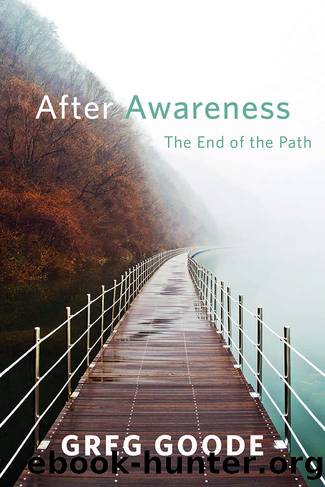 After Awareness_The End of the Path by Greg Goode