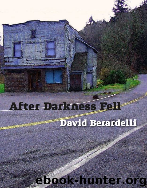 After Darkness Fell by David Berardelli