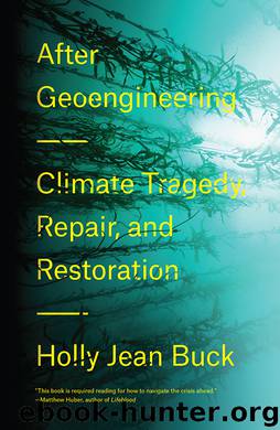After Geoengineering by Holly Jean Buck