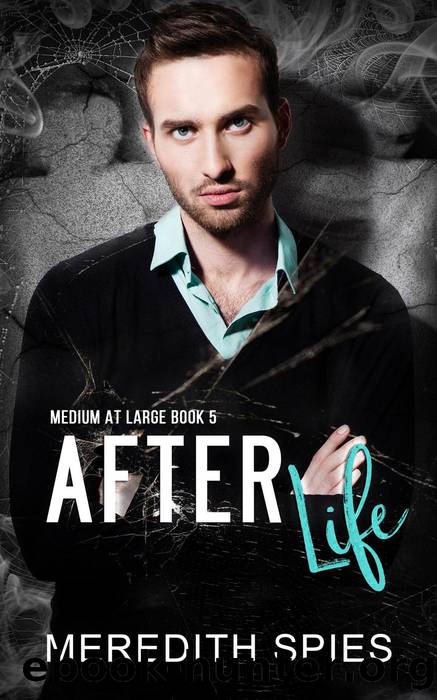 After Life (Medium at Large book 5) by Meredith Spies