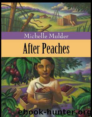 After Peaches by Michelle Mulder