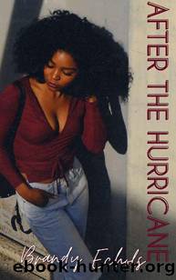 After The Hurricane by Brandy Echols