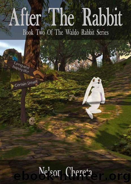 After The Rabbit (Waldo Rabbit Series) by Chereta Nelson