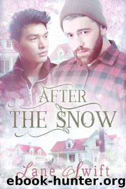 After The Snow (Michigan Seasons Book 2) by Lane Swift