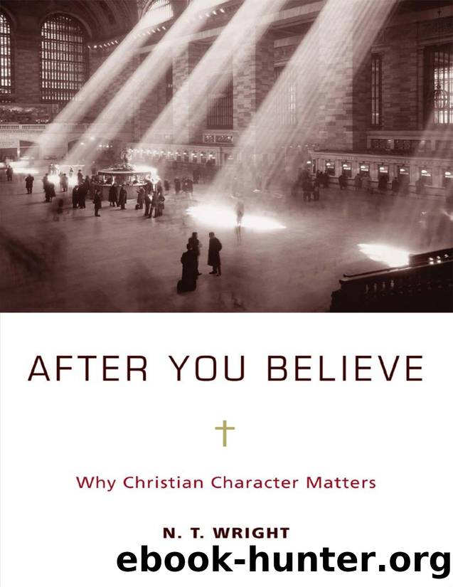After You Believe by N. T. Wright
