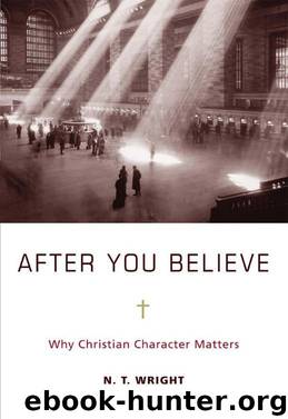 After You Believe: Why Christian Character Matters by N. T. Wright