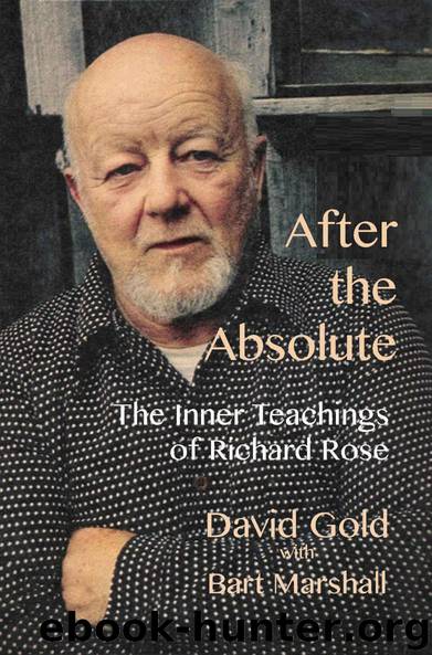 After the Absolute by David Gold & Bart Marshall