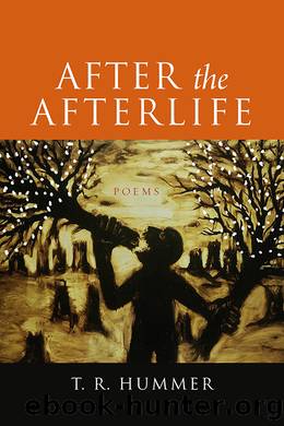 After the Afterlife by Hummer T. R.;